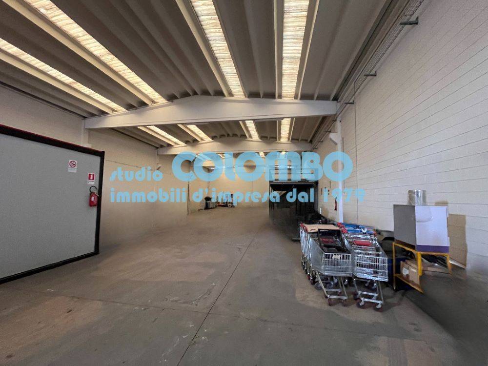 immagine annuncio 4 di 11