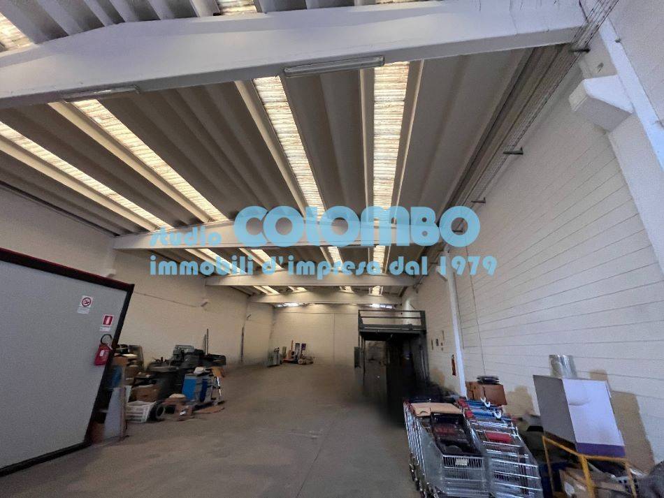 immagine annuncio 6 di 11