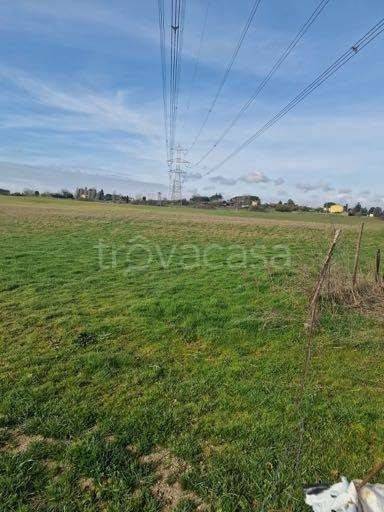 immagine annuncio 2 di 6