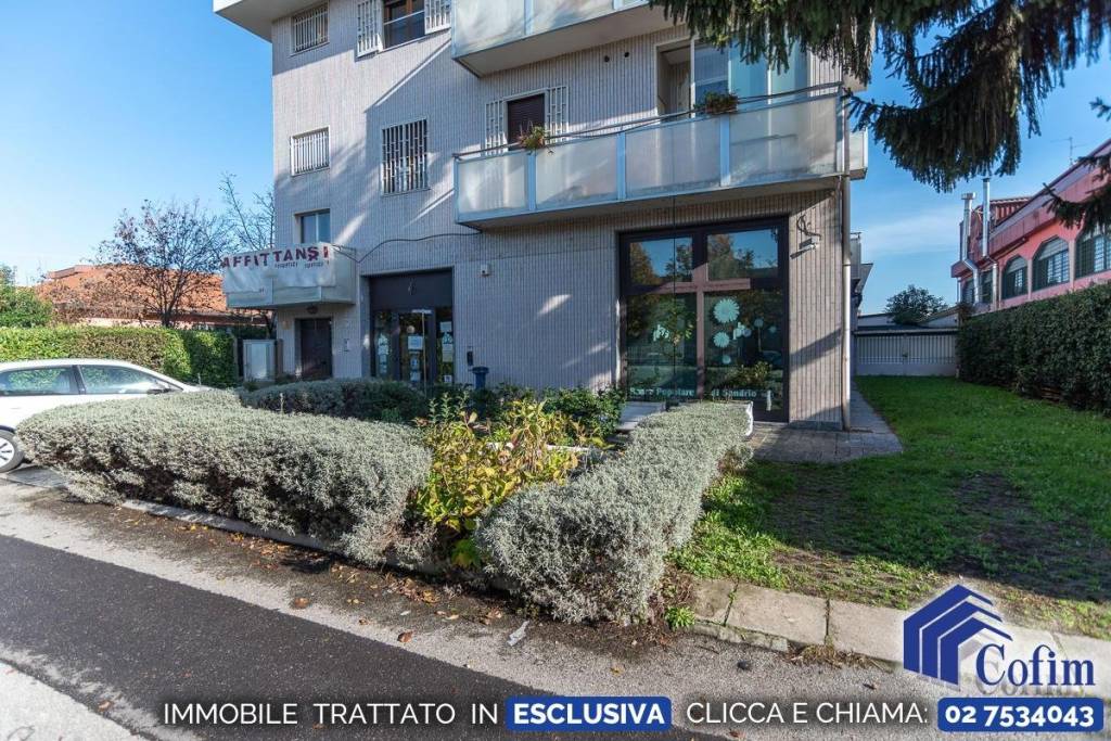 immagine annuncio 9 di 10