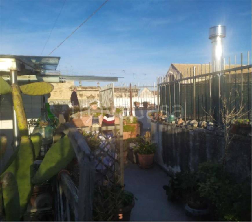 immagine annuncio 12 di 14