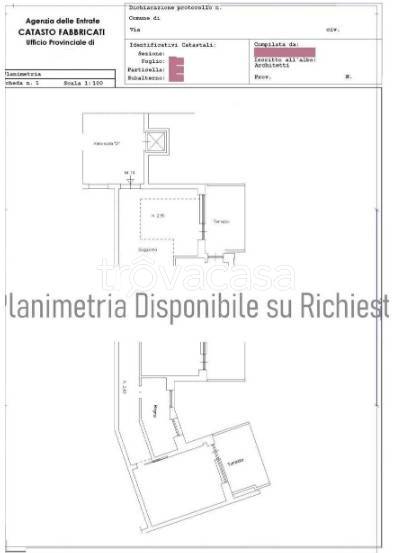 immagine annuncio 11 di 12