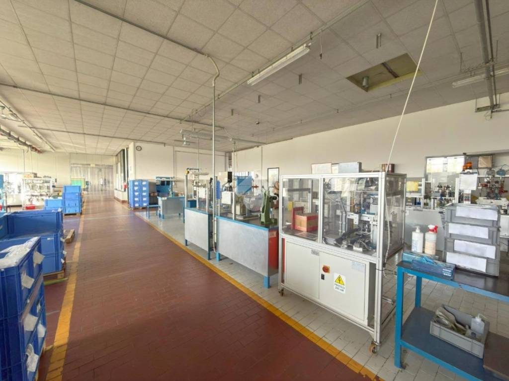 immagine annuncio 10 di 15