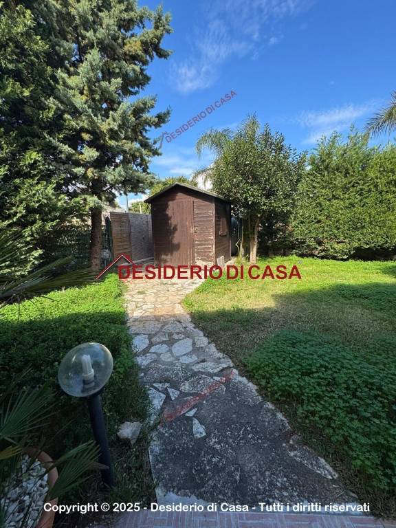 immagine annuncio 11 di 13