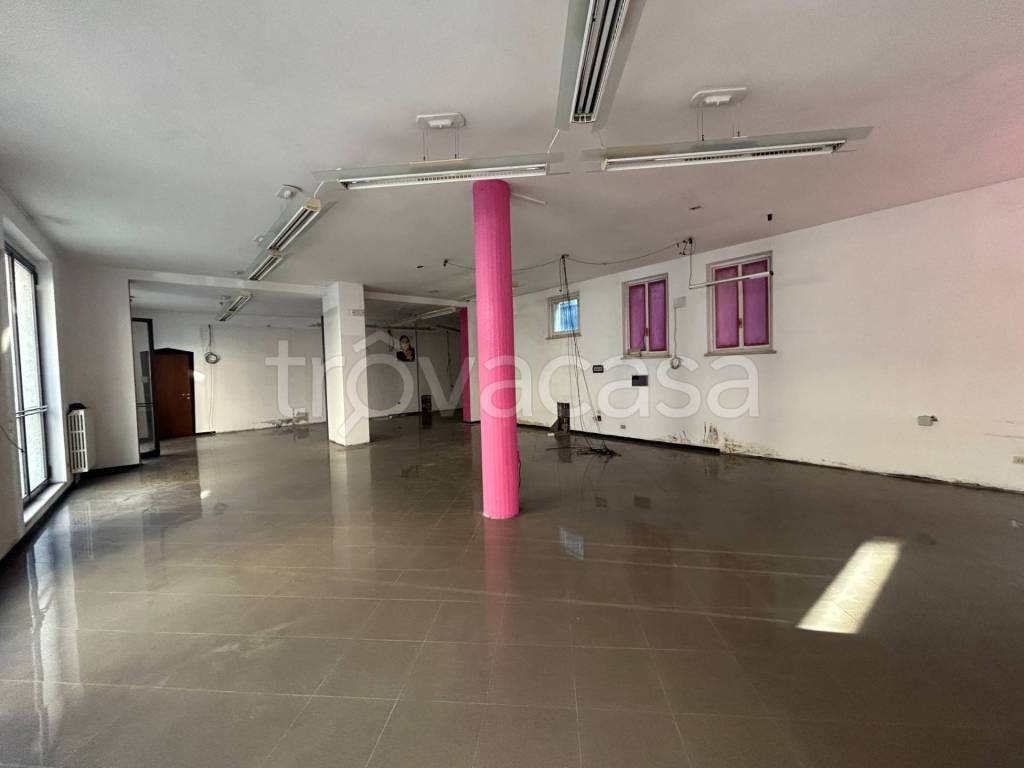 immagine annuncio 4 di 8