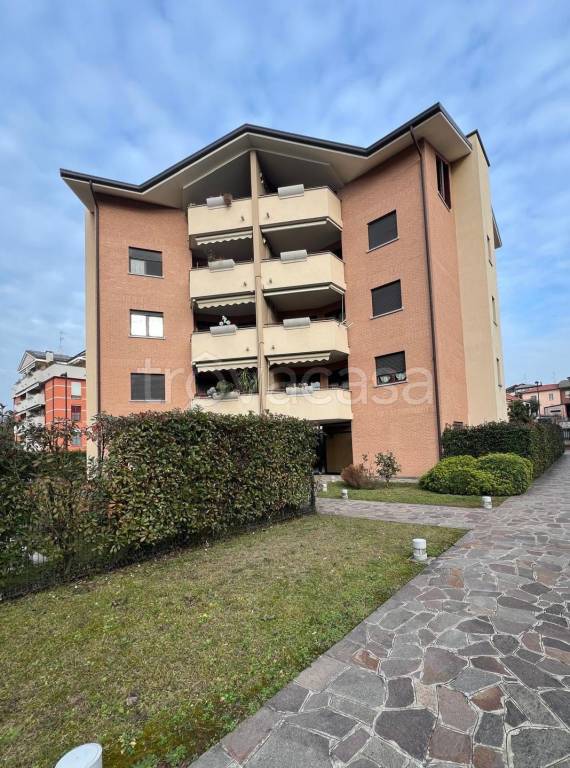 immagine annuncio 1 di 15