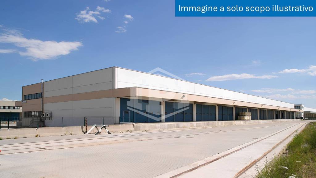 immagine annuncio 3 di 8