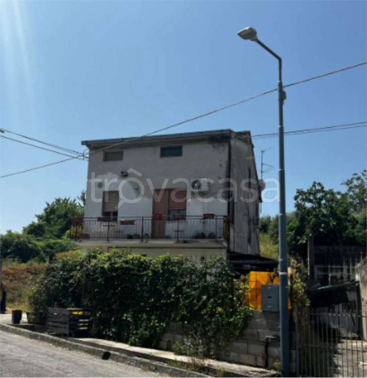 immagine annuncio 10 di 12