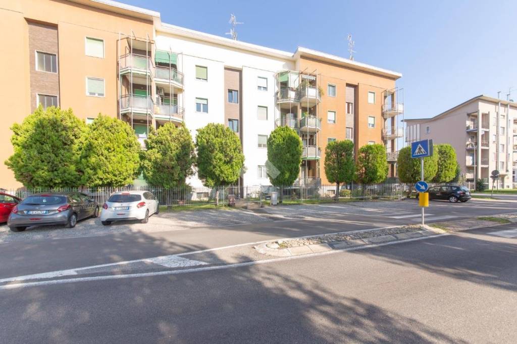 immagine annuncio 2 di 7