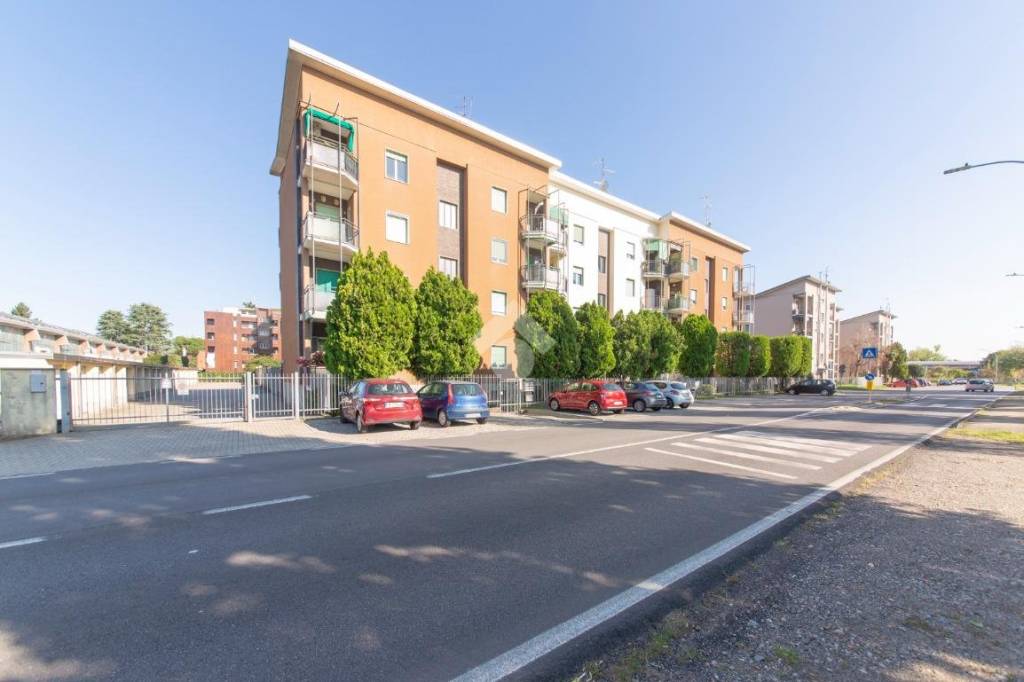 immagine annuncio 3 di 7