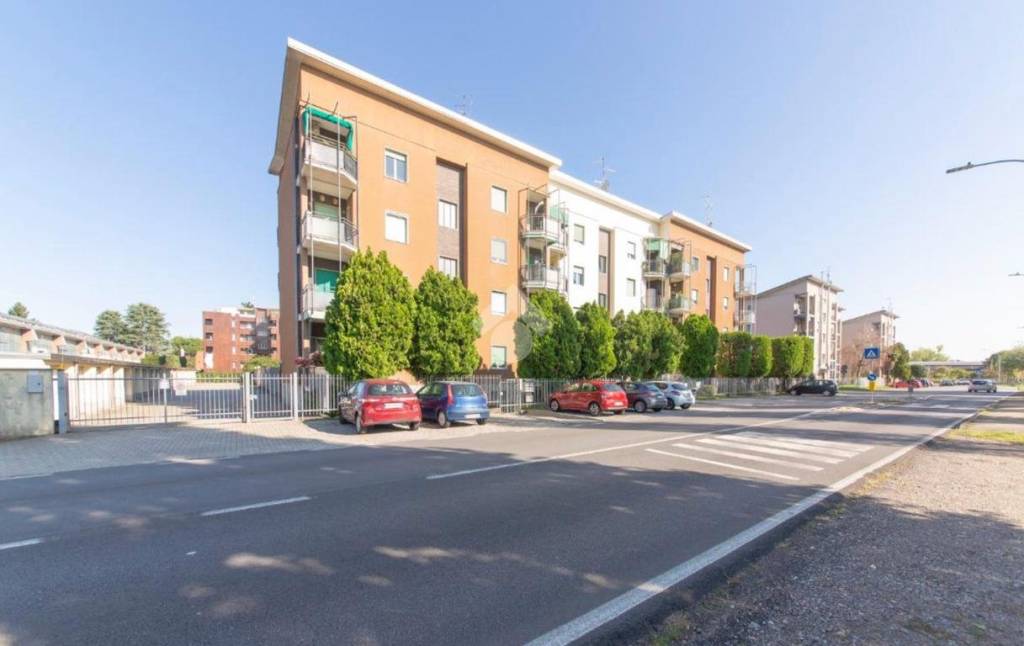 immagine annuncio 4 di 7