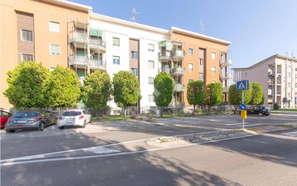 immagine annuncio 6 di 7