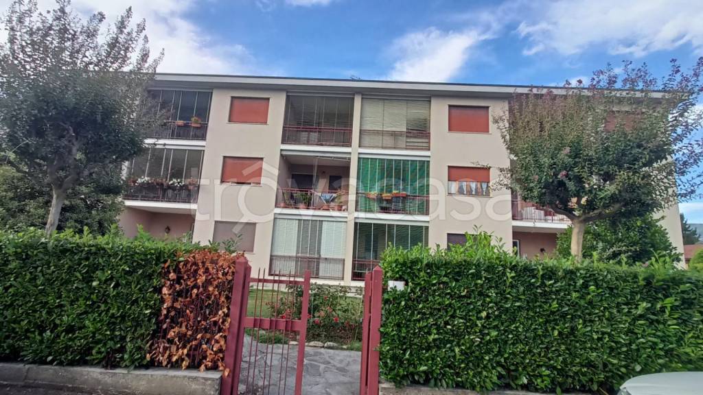 immagine annuncio 12 di 13