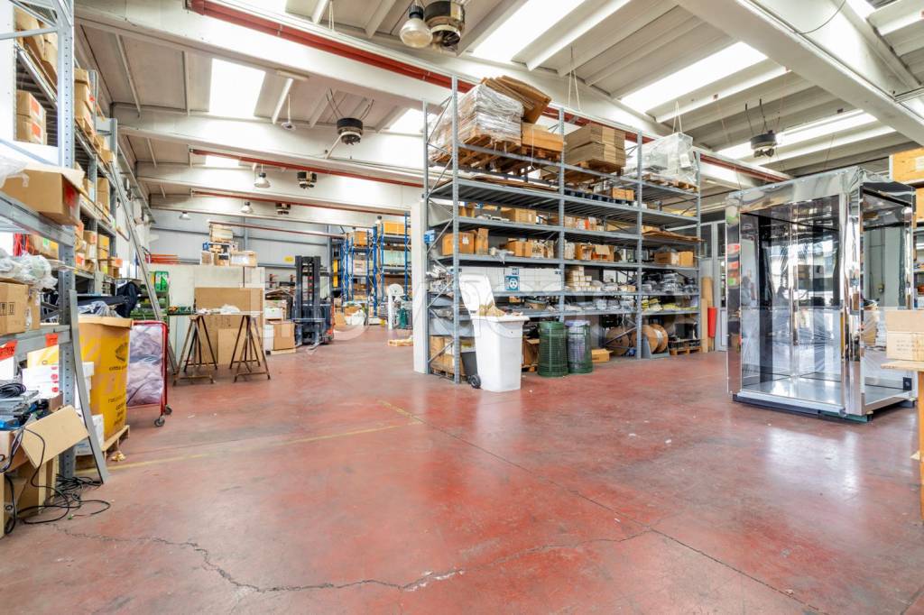 immagine annuncio 2 di 12