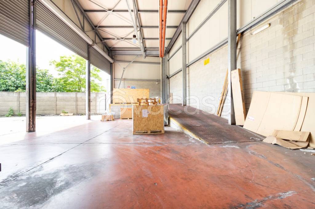 immagine annuncio 5 di 12