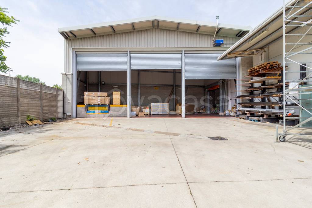 immagine annuncio 6 di 12