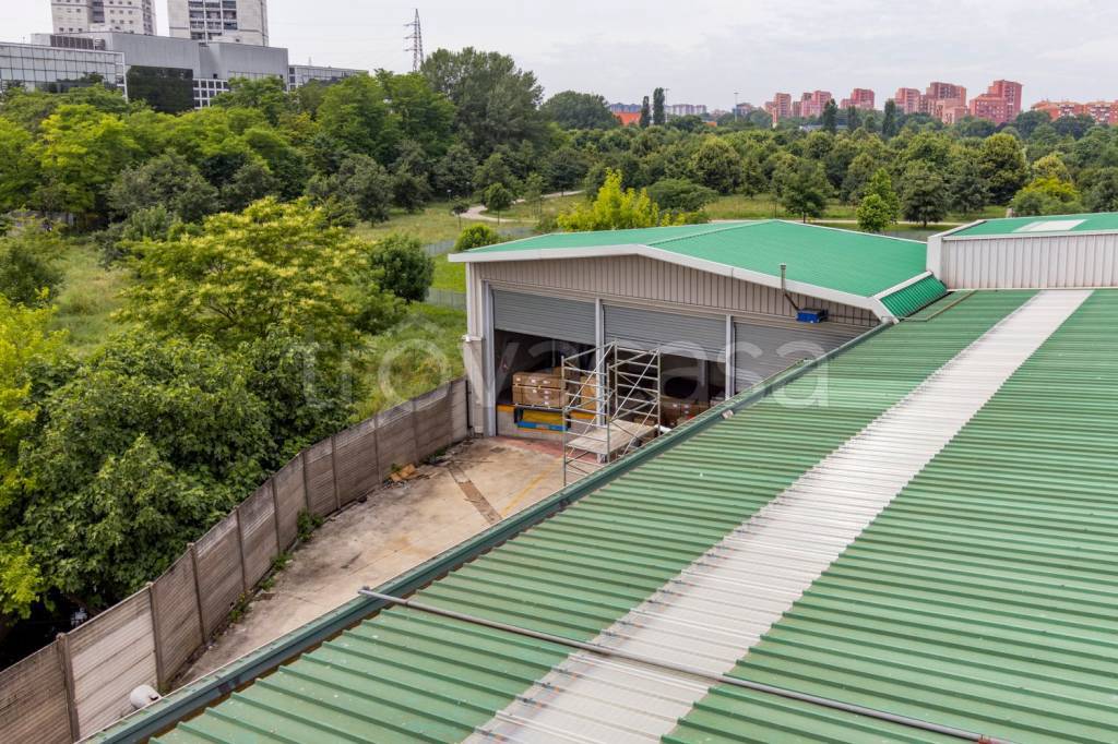 immagine annuncio 11 di 12