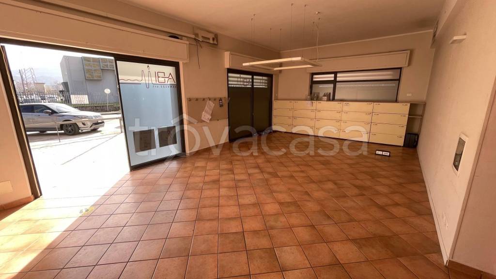 immagine annuncio 4 di 14