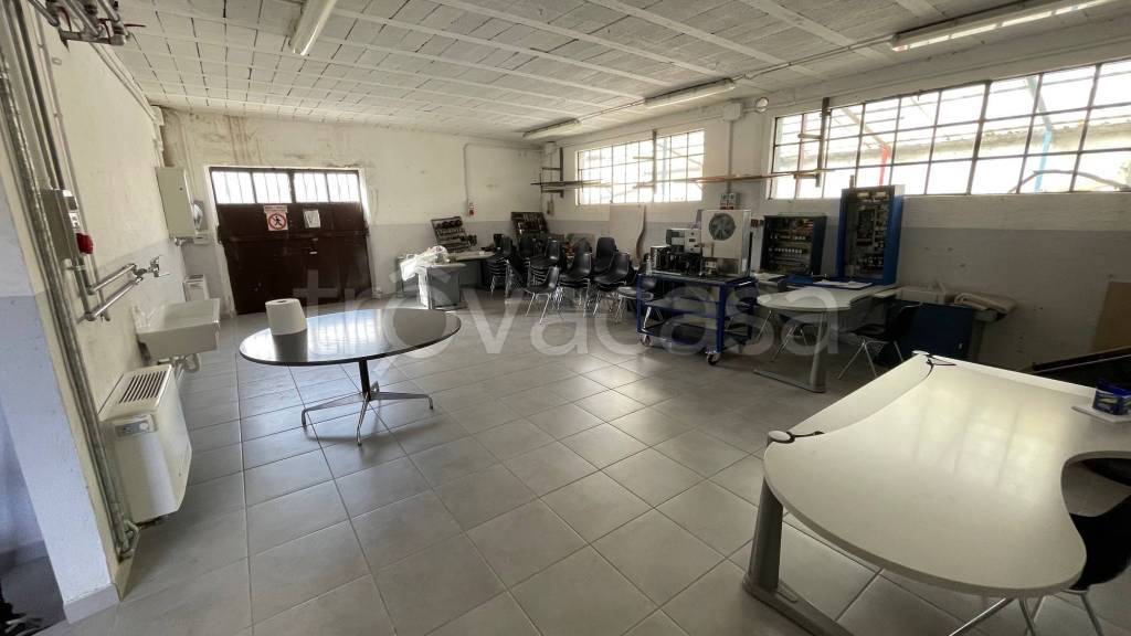 immagine annuncio 1 di 14