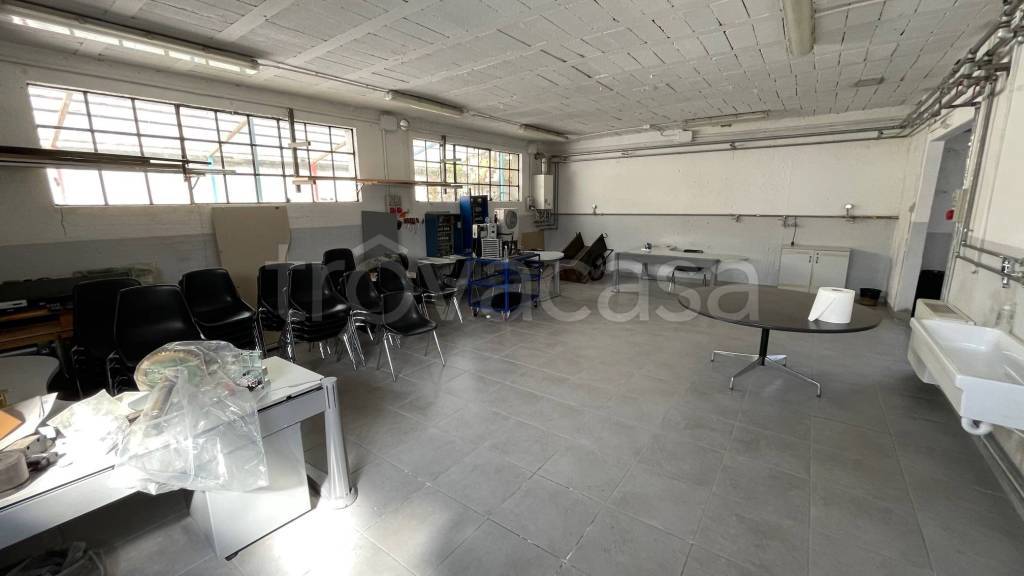 immagine annuncio 2 di 14