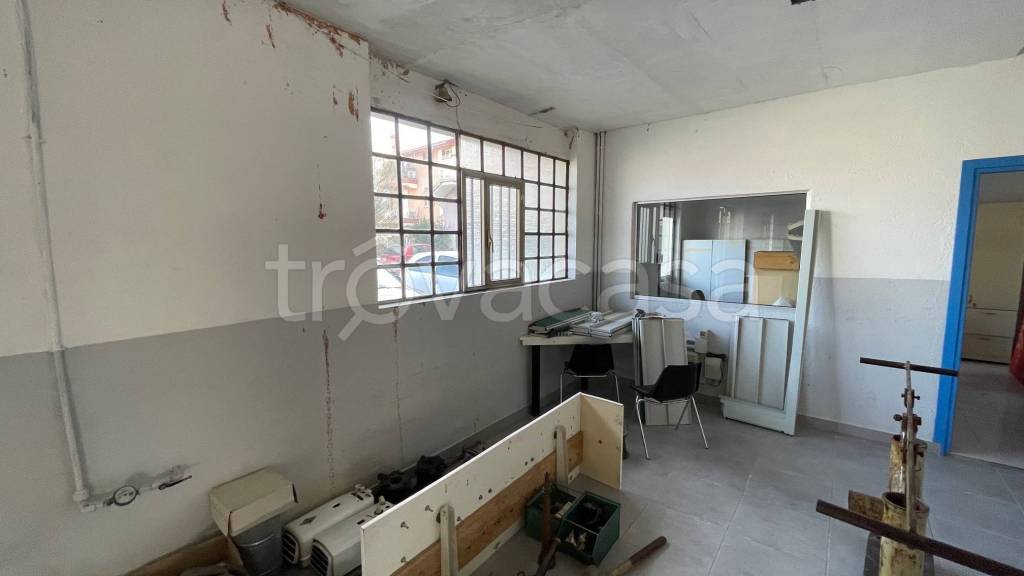 immagine annuncio 7 di 14