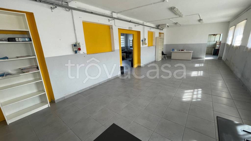 immagine annuncio 9 di 14