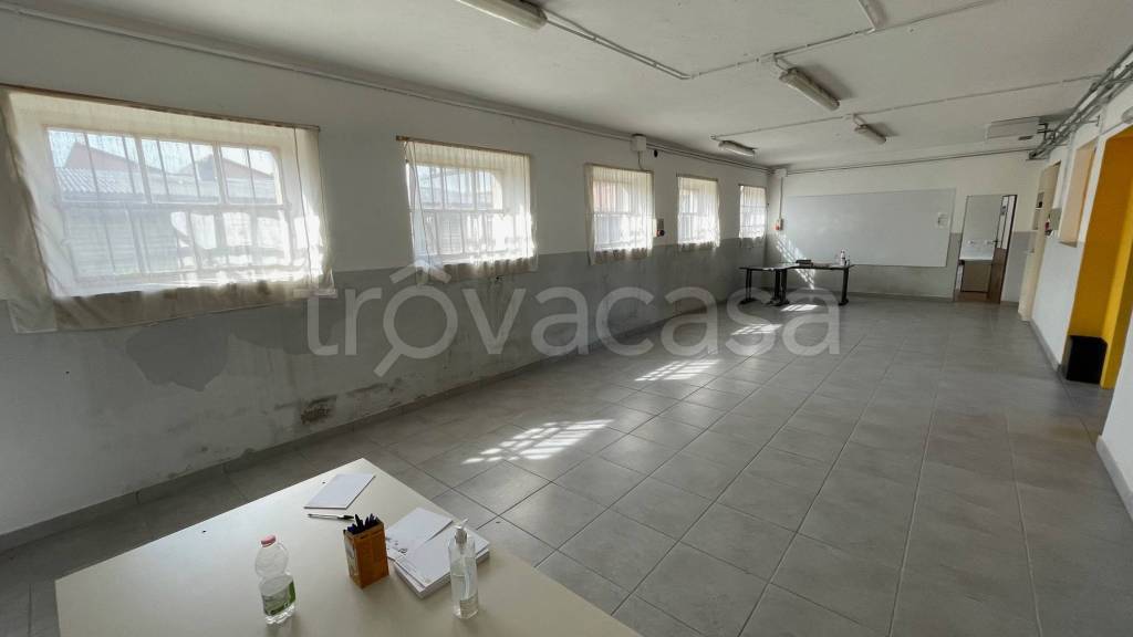 immagine annuncio 12 di 14