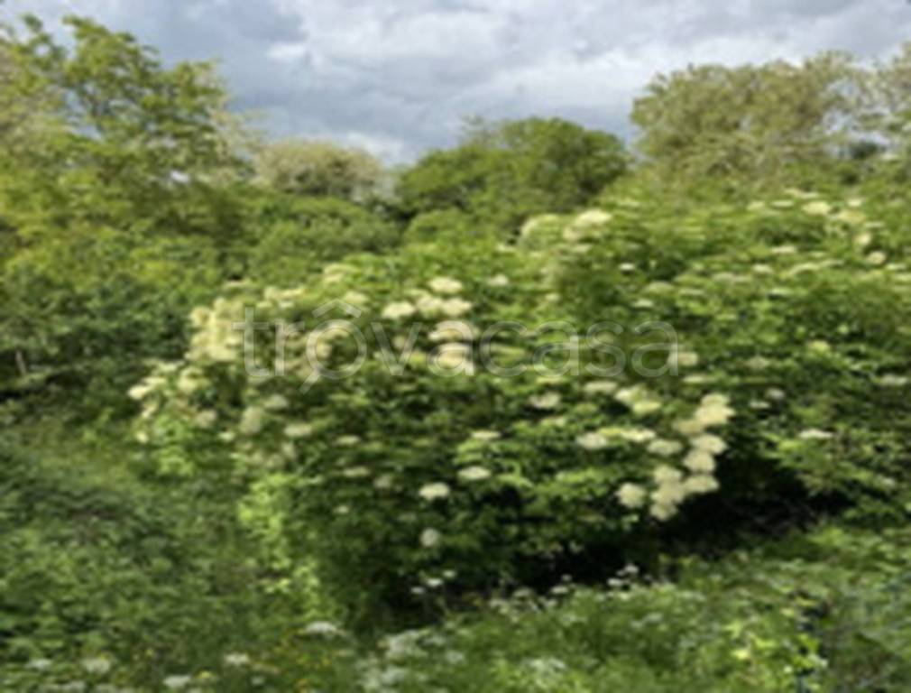 immagine annuncio 6 di 11