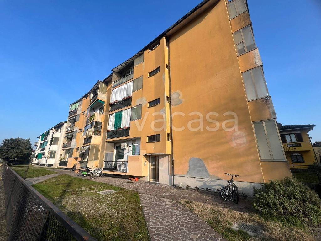 immagine annuncio 2 di 15