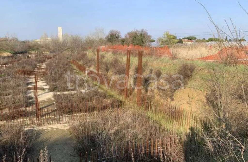 immagine annuncio 9 di 11