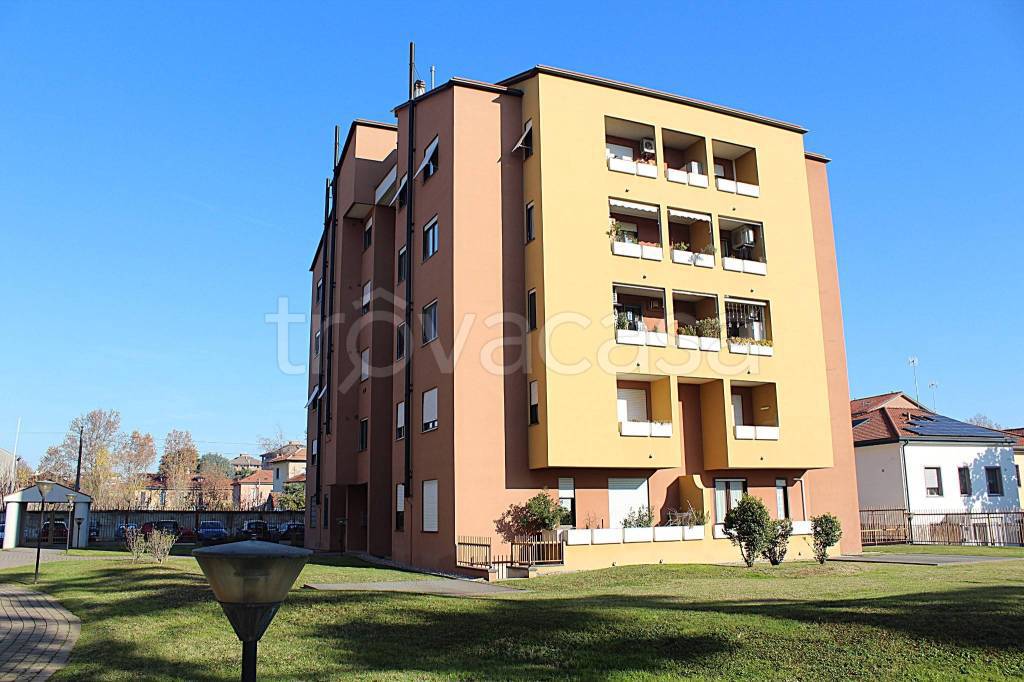 immagine annuncio 1 di 12