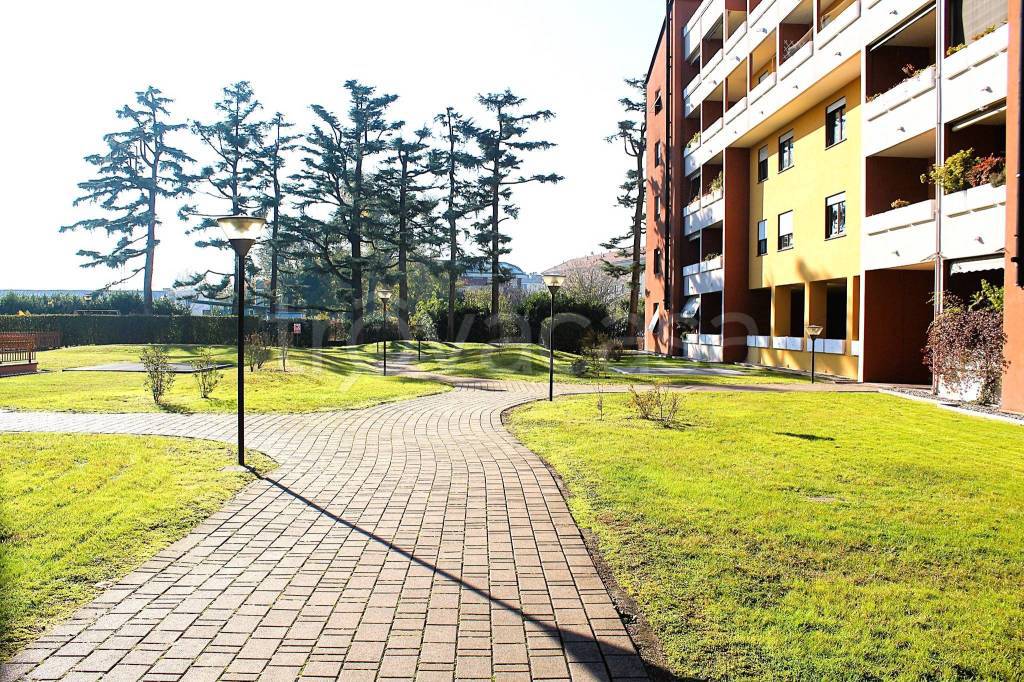 immagine annuncio 3 di 12