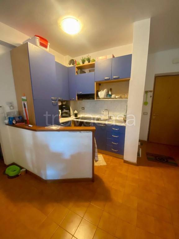 immagine annuncio 9 di 15