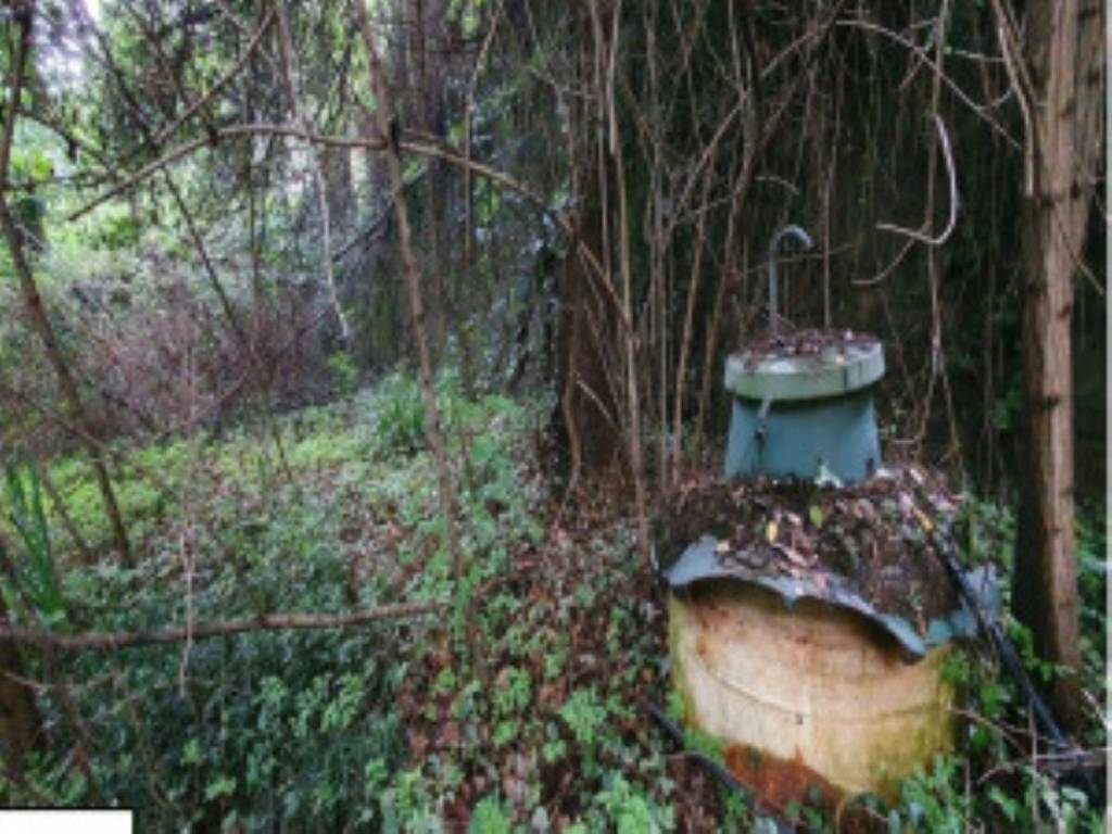 immagine annuncio 6 di 11