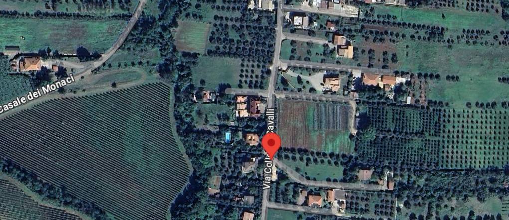 immagine annuncio 2 di 3