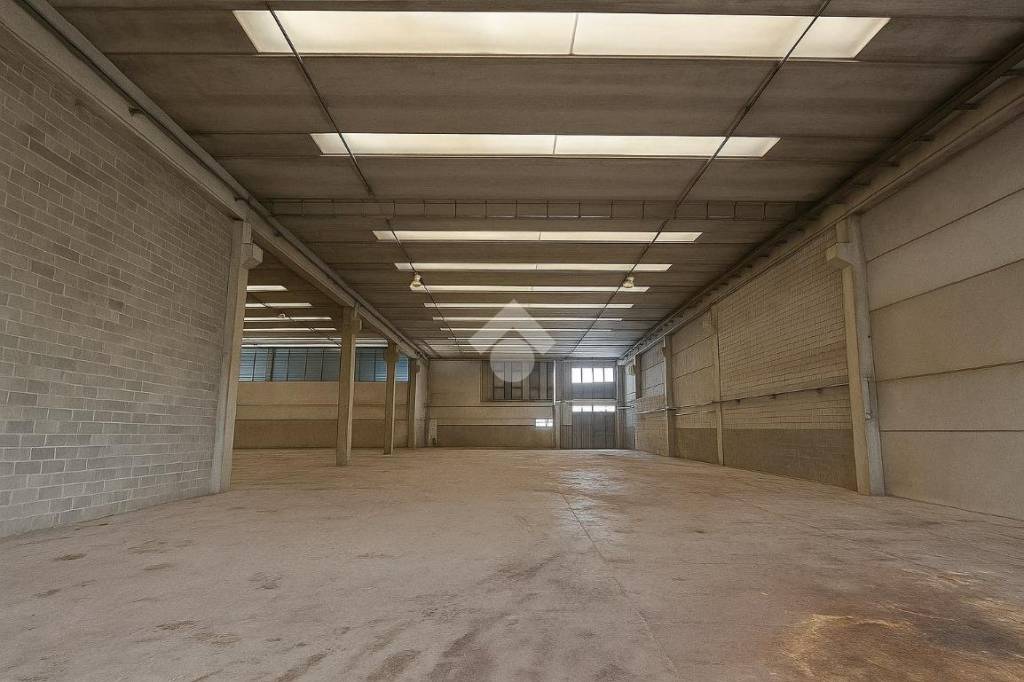 immagine annuncio 7 di 13