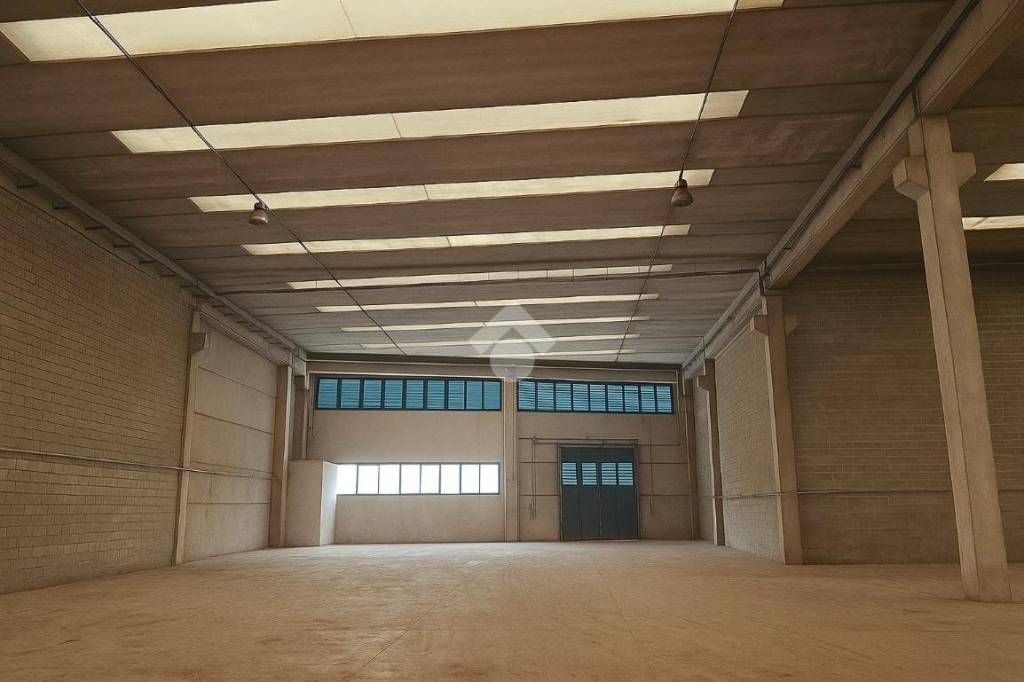 immagine annuncio 9 di 13