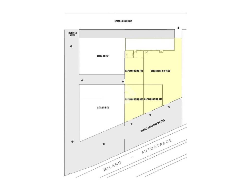 immagine annuncio 11 di 13