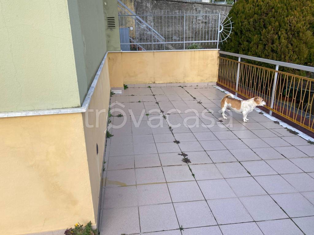 immagine annuncio 1 di 14