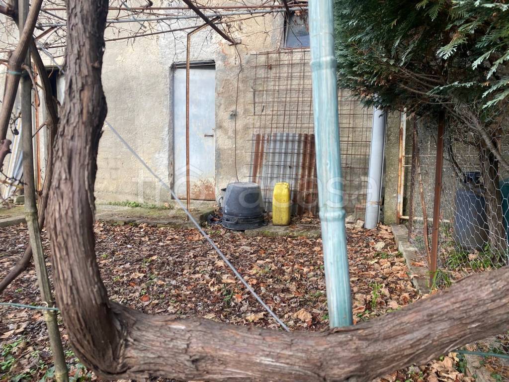 immagine annuncio 9 di 14