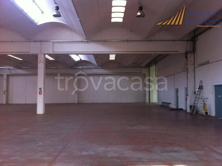 immagine annuncio 5 di 10