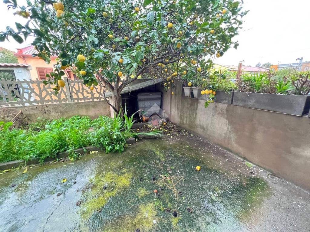 immagine annuncio 4 di 13