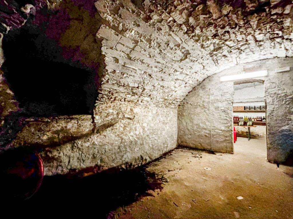 immagine annuncio 7 di 14