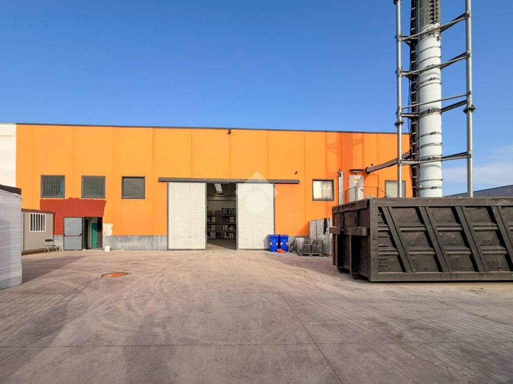 immagine annuncio 5 di 15