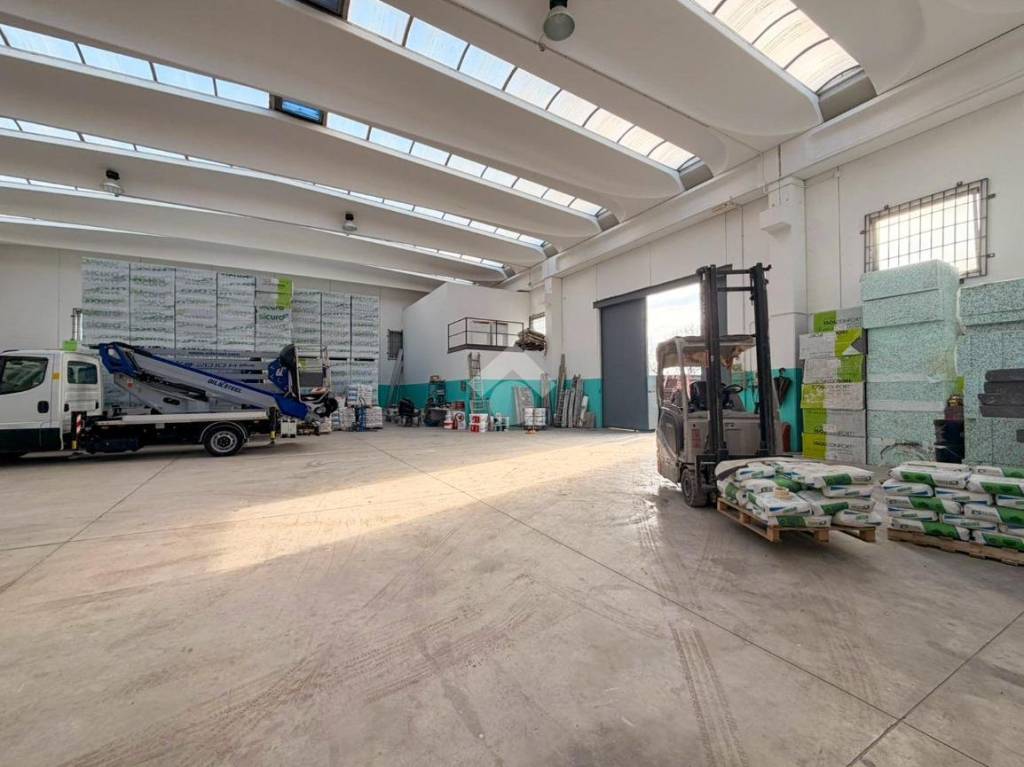 immagine annuncio 7 di 15