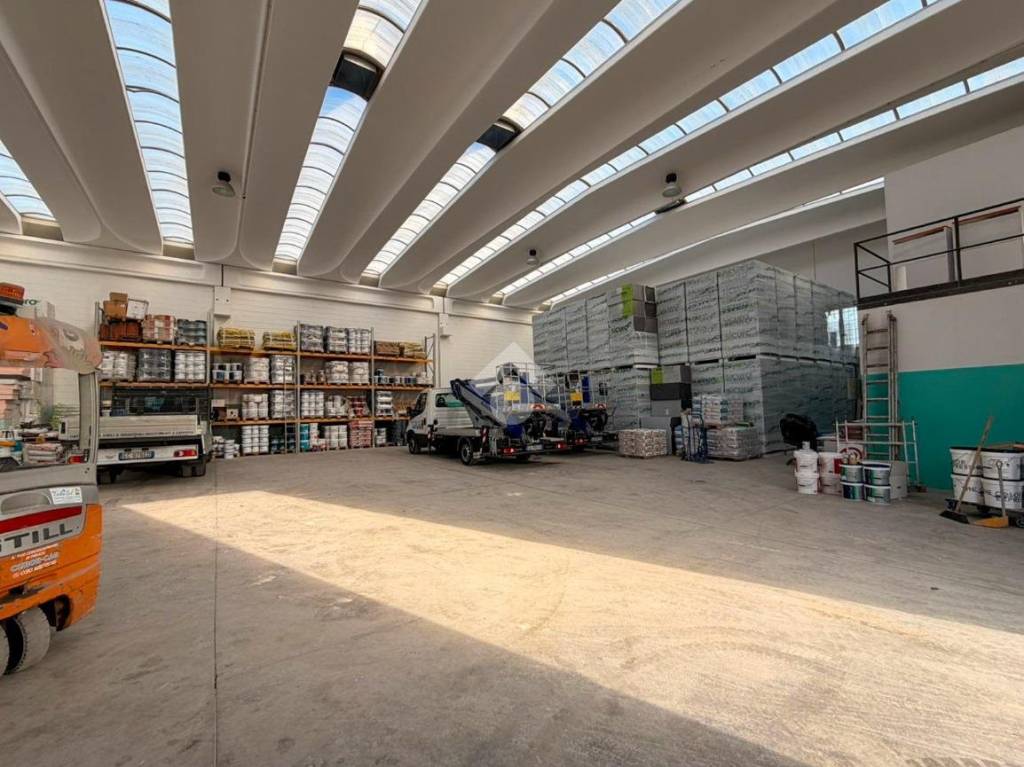 immagine annuncio 9 di 15