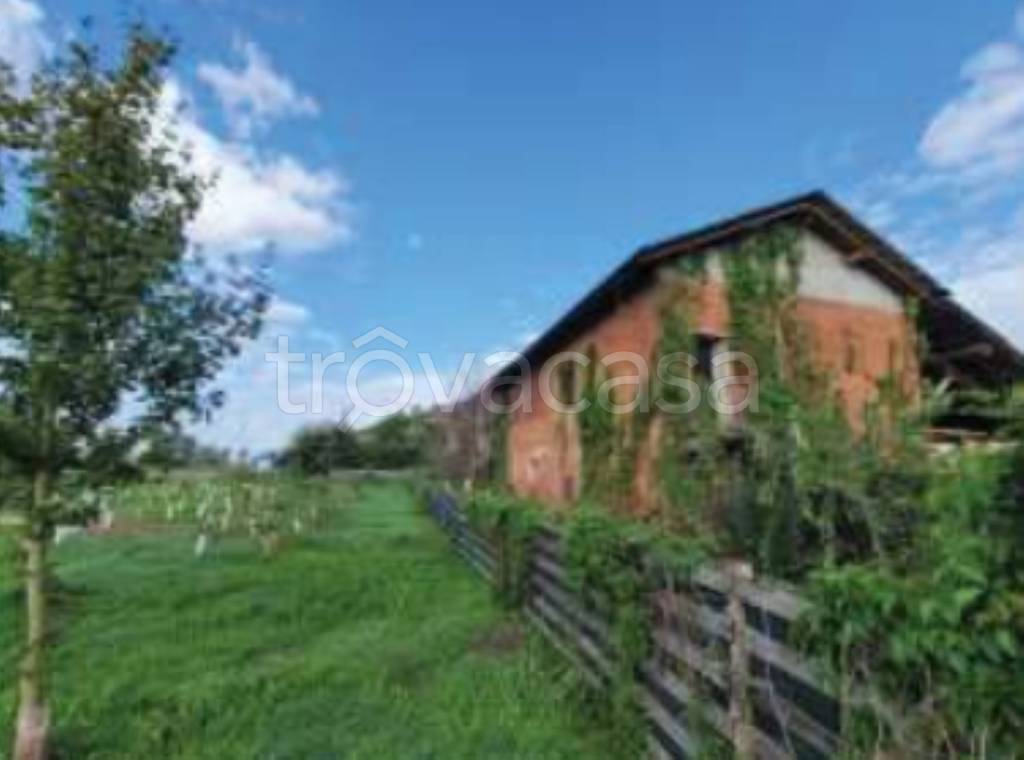 immagine annuncio 9 di 11