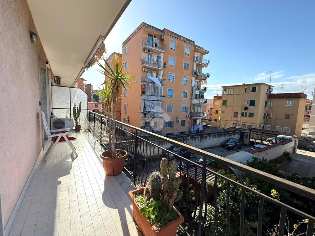 immagine annuncio 3 di 14