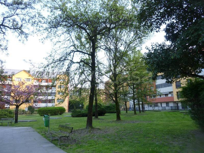 immagine annuncio 13 di 14