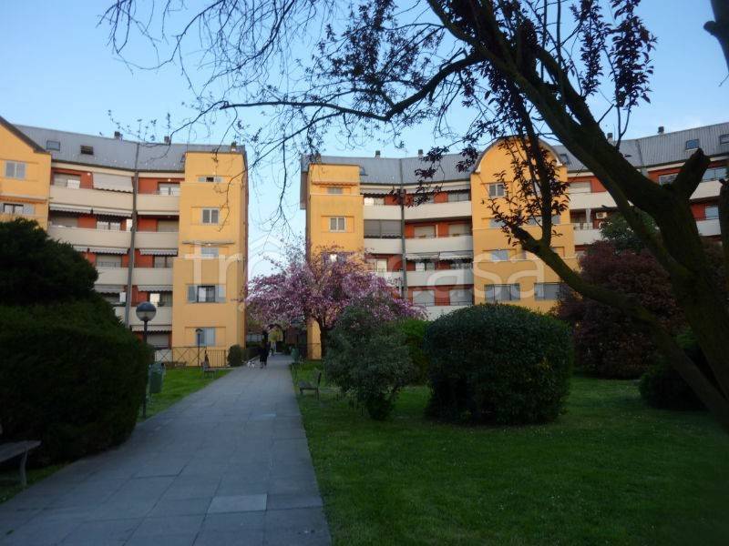 immagine annuncio 11 di 14